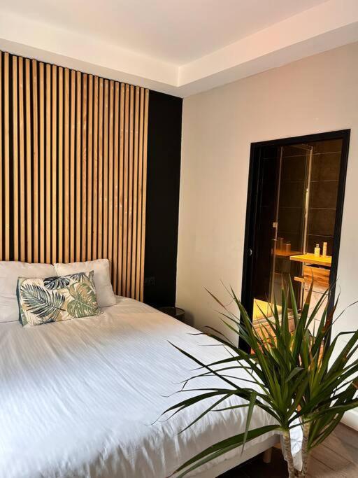 Appartement Cosy Centre Ajaccio Аяччо Екстер'єр фото